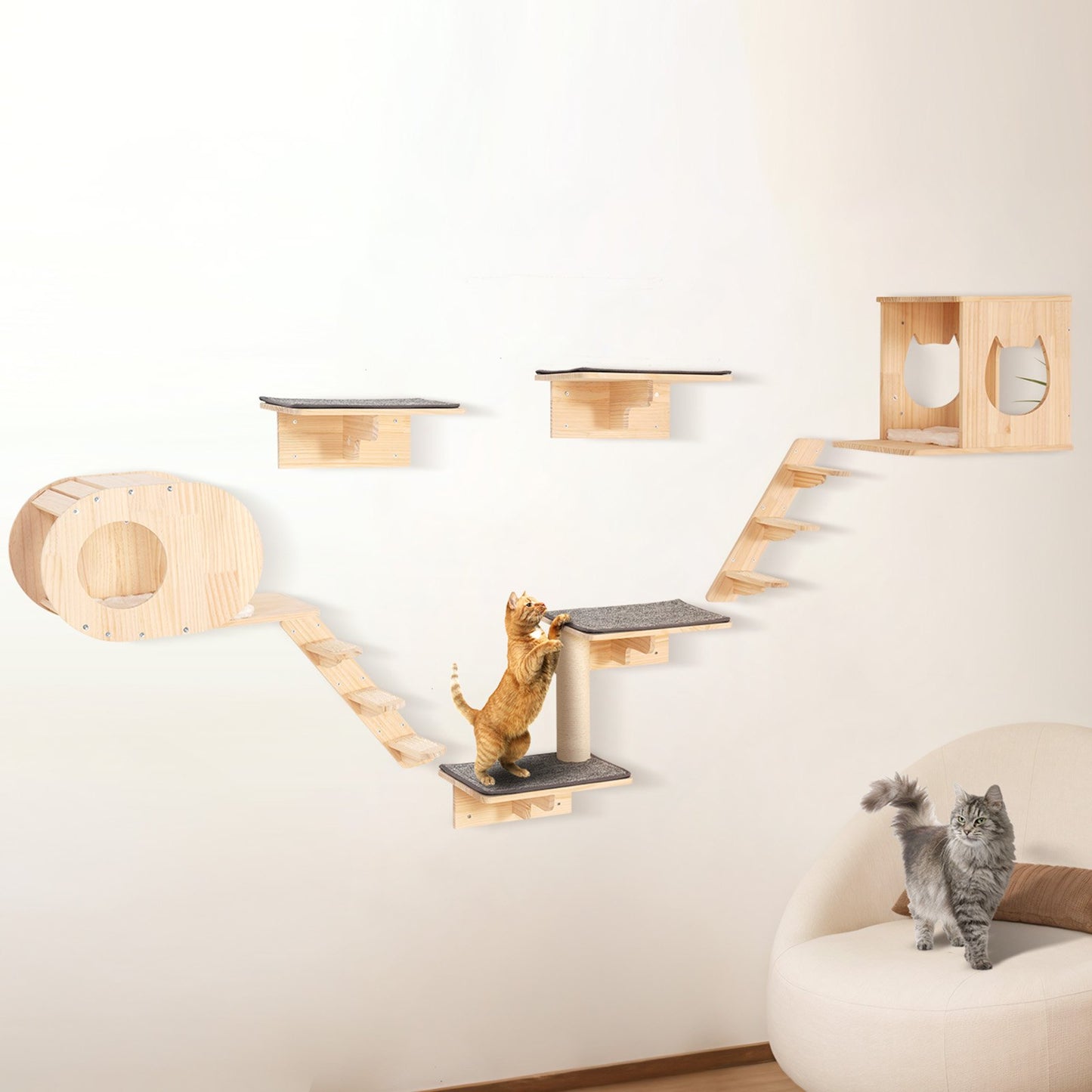 Wall-mounted cat climbing shelves set for large cats