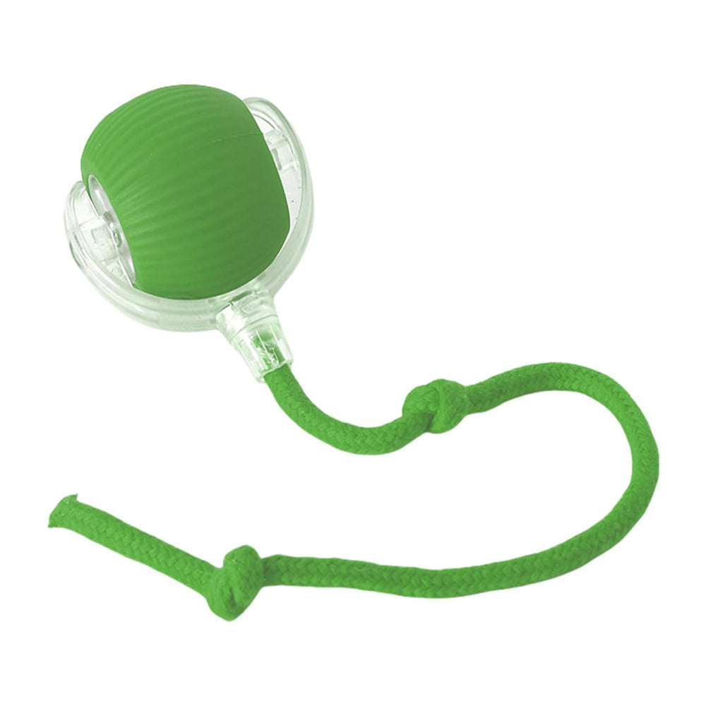 Rolling cat ball toy — green